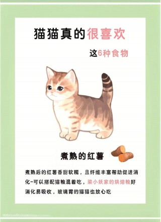 猫猫能吃香蕉吗？猫咪可以吃香蕉不（最新）