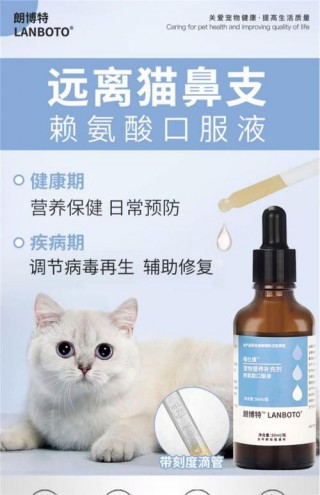 猫咪咳嗽吃什么药好，（猫咪感冒咳嗽吃什么药效果好）
