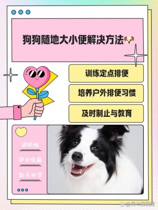 怎么教狗狗拉屎？怎样教狗狗到指定地点大小便（最新）