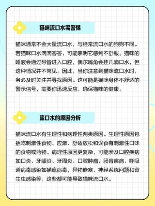 猫咪的口水有毒吗？猫的口水是脏的还是干净的（最新）