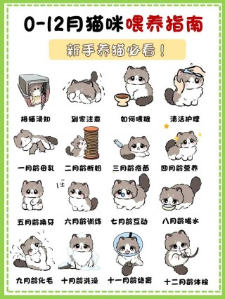 怎么给猫咪喂水，（怎么给猫咪喂水果）