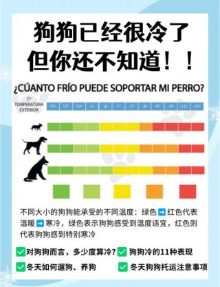 狗狗秋天怕冷吗，狗狗秋天怕冷吗为什么？