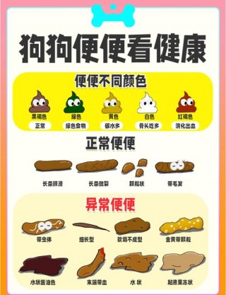 狗狗便便多是怎么回事，狗狗便便多是怎么回事吃什么药？