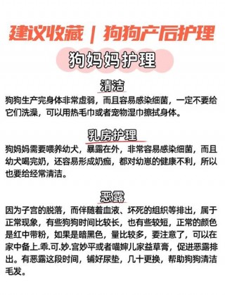狗狗宫缩多久可以生产，狗狗宫缩多久能生？
