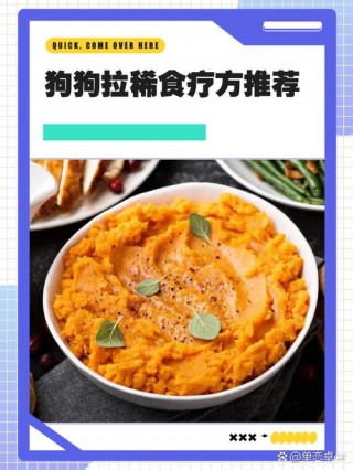 狗狗拉稀吃什么食物？狗狗拉稀吃什么?（最新）