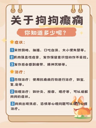 狗狗癫疯注意事项，（狗狗癫疯注意事项有哪些）