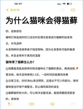 猫咪怎么会得猫藓？猫怎么就得猫藓了（最新）