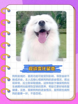 狗狗发烧有哪些症状？狗狗发烧有哪些症状?（最新）