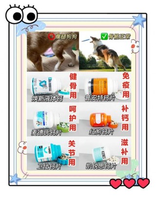 狗狗补钙哪个牌子好，（狗狗补钙哪个牌子好一点）