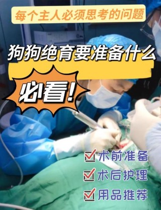 狗狗几个月绝育，狗狗几个月去绝育？