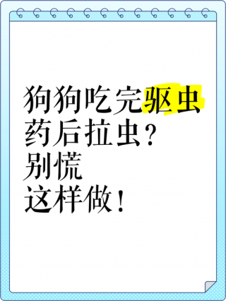 狗狗驱虫后有什么反应，狗狗驱虫后有什么反应症状？