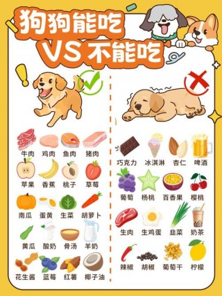 狗狗能吃冷的食物吗，狗狗能吃冷饭吗？