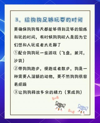 怎样训练狗狗不咬人，（怎样训练狗狗不乱咬）