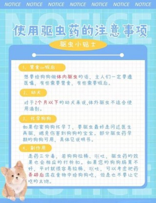 狗狗每个月都要驱虫吗？狗狗有必要每个月驱虫吗（最新）