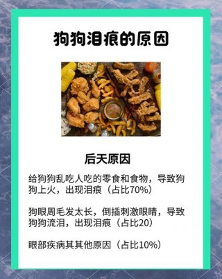 狗狗流眼泪的六大原因，狗狗流眼泪的六大原因是什么？