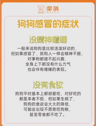 狗狗感冒了有什么症状，（狗狗感冒了有什么症状表现）