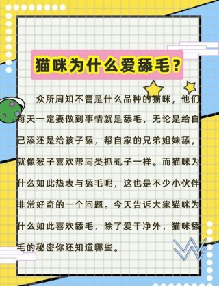 猫咪舔自己的毛？猫咪舔自己的毛正常吗（最新）