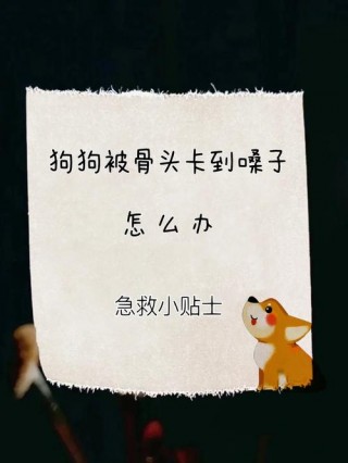 狗狗卡住喉咙怎么办，狗狗如果卡住了喉咙有什么症状？