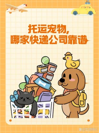 狗狗可以邮寄吗，狗狗可以邮寄到外地吗？