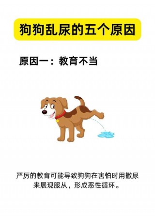狗狗到处拉尿怎么办，（狗狗到处拉尿怎么办怎么打都没用）