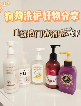 什么牌子的狗狗沐浴露好，（狗狗哪款沐浴露好）