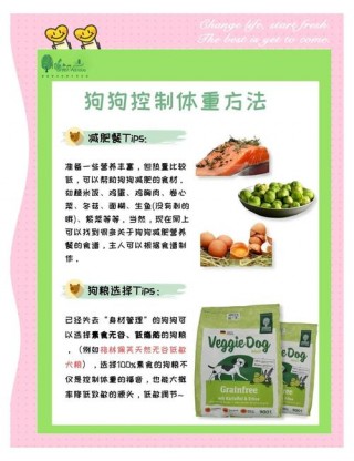 吃什么能让狗狗长胖，吃什么能让狗狗长胖点？