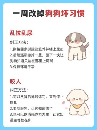 如何刺激狗狗排尿，狗狗催尿最快速方法？