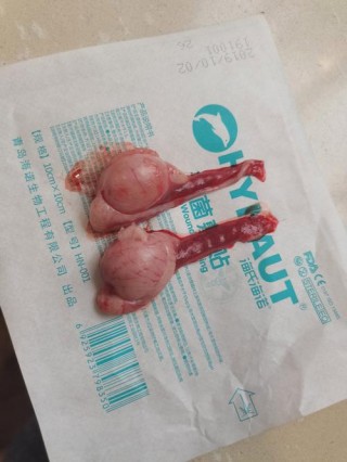 狗狗绝育手术多少钱，（给狗狗绝育的土办法）