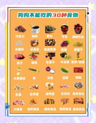 狗狗不能吃葡萄吗，（狗狗不能吃葡萄吗?）