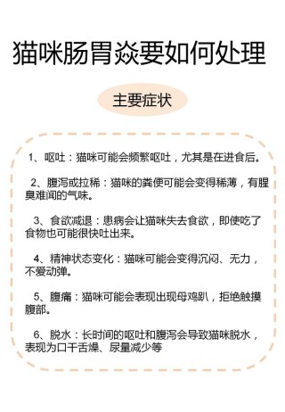猫咪消化不良能自愈吗？猫消化不良会不会马上就死（最新）