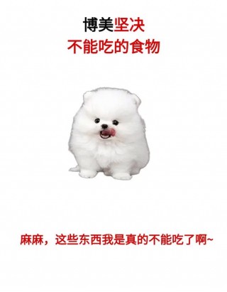 狗狗可以吃黑芝麻糊吗，（狗狗可以吃黑芝麻糊吗）