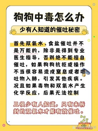狗狗吃了盐有什么症状？狗狗吃了盐有什么症状和反应（最新）