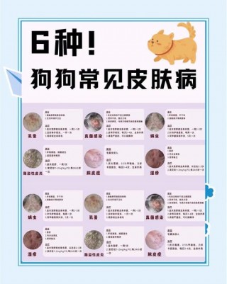 狗狗皮肤病需要剃毛吗？狗狗皮肤病需要剃毛吗?剃多少毫升（最新）