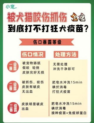 狗狗不打疫苗可以吗，狗狗不打疫苗可以吗?吃点什么药？