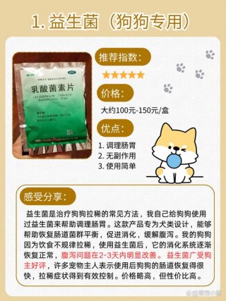 狗狗腹泻吃什么药，（狗狗腹泻吃什么药最安全）