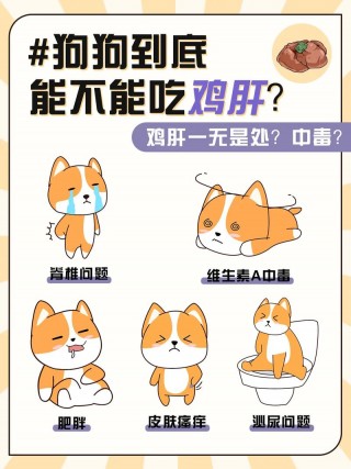 狗狗可以吃鸭肝吗？狗狗可以吃鸭肝吗?（最新）