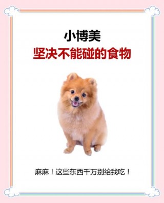 狗狗可以吃草莓干吗？狗狗可以吃草莓干嘛（最新）