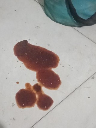 狗狗吃云南白药副作用，（狗狗吃云南白药治什么）