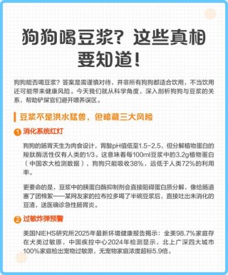 狗狗可不可以喝豆浆？狗狗能喝豆浆吗,狗狗喝豆浆好吗（最新）