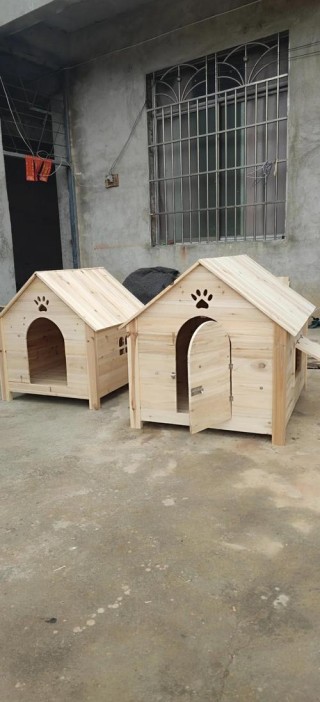 夏天狗狗睡什么狗窝好？夏季狗狗睡什么窝好（最新）