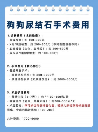 狗狗尿结石手术费用，（狗狗尿结石手术费用分大狗小狗）
