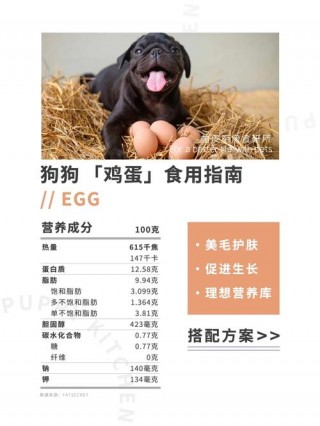 狗狗可以吃鸡蛋糕吗？小狗狗能吃鸡蛋糕吗（最新）