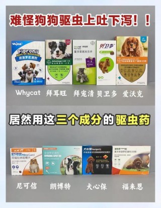 狗狗拉虫子吃什么药最有效？狗狗拉出虫子如何消毒（最新）