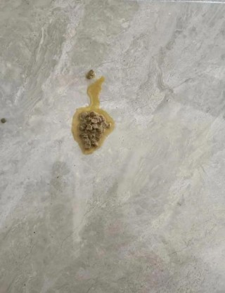 猫咪打完疫苗后呕吐，猫咪打完疫苗后呕吐是咋回事？