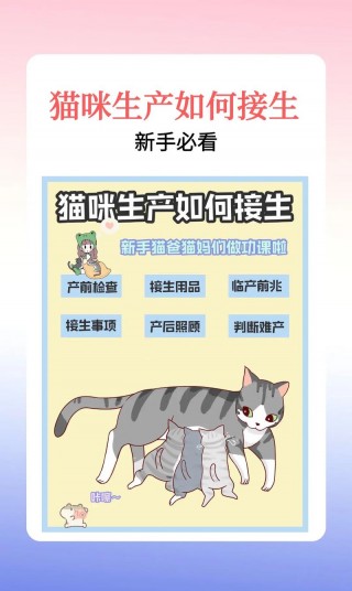 怎么给猫咪接生？怎么给猫咪接生孩子（最新）