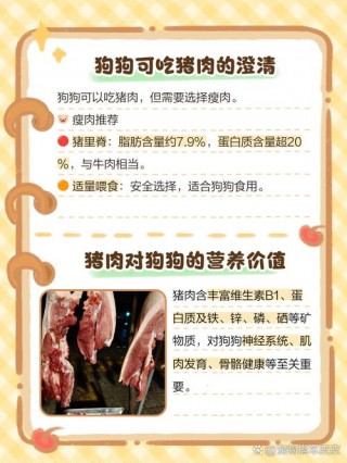 狗狗吃猪肉好吗，狗狗吃猪肉好么？