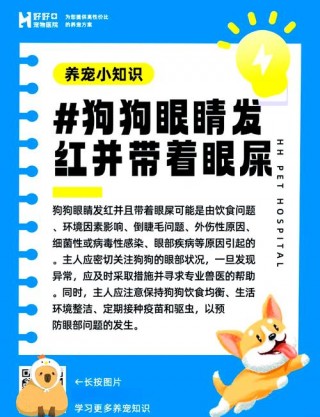 狗狗吃什么下火，（狗狗吃什么下火快）