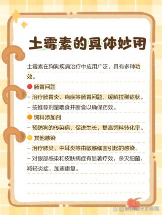 狗狗吃土霉素的用量，狗狗吃土霉素吃多少？