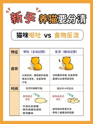 猫咪拉稀呕吐怎么回事，（猫咪拉稀呕吐怎么回事儿）