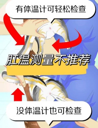 小猫咪发烧怎么办，小猫发烧症状能自愈吗？